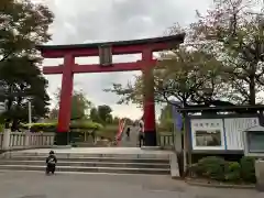 亀戸天神社の鳥居