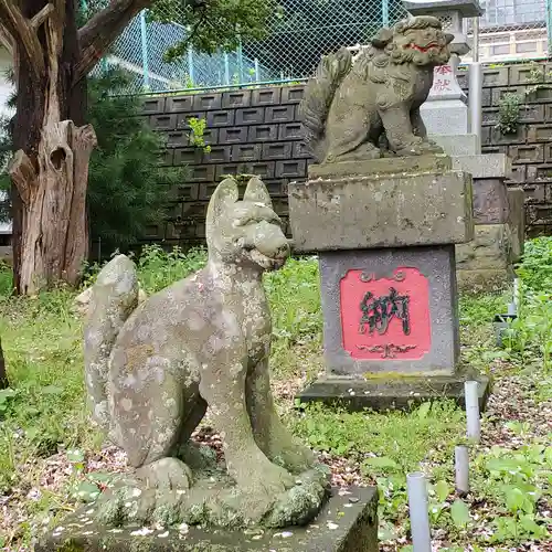 川汲稲荷神社の狛犬