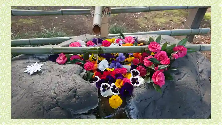 馬場氷川神社(埼玉県)