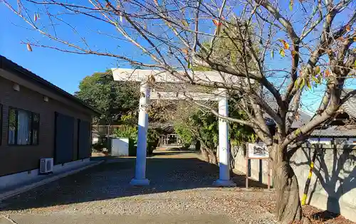 津島社の鳥居