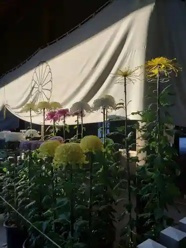 阿佐ヶ谷神明宮(東京都)