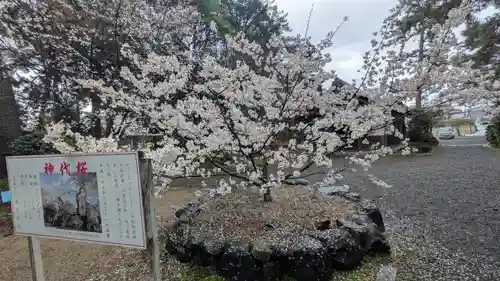 建部大社(滋賀県)