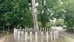 日吉神社の自然