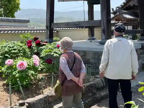 真言宗　善通寺派　薬王寺(香川県)