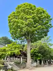 瀧宮神社の自然