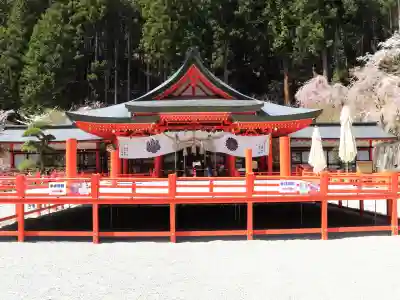 金櫻神社の{uncategorized: "未分類", other: "その他", undefined: "問題あり", building: "その他建物", grave: "お墓", sacred_gate: "鳥居", guardian: "狛犬", statue: "像", buddha: "仏像", history: "歴史", nature: "自然", garden: "庭園", animal: "動物", pagoda: "塔", temizu: "手水舎", mountain_gate: "山門・神門", sanctuary: "本殿・本堂", subordinate: "末社・摂社", art: "芸術", scenery: "景色", jizo: "地蔵", ema: "絵馬", goshuin: "御朱印", omikuji: "おみくじ", items: "授与品その他", amulet: "お守り", goshuincho: "御朱印帳", eats: "食事", festival: "お祭り", votive_dance: "神楽", shichigosan: "七五三参", wedding: "結婚式", experience: "体験その他", initially: "初詣", around: "周辺", anti_infection: "感染症対策"}