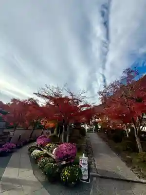 宝徳寺(群馬県)