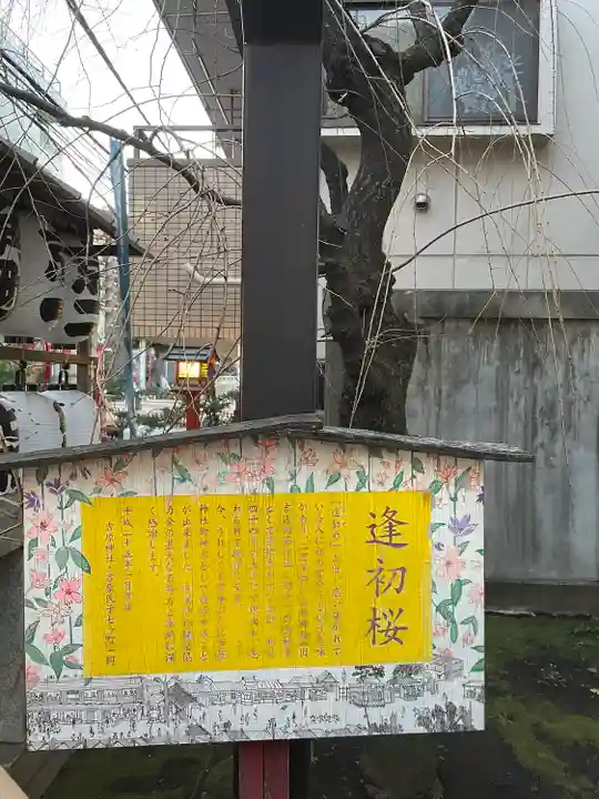 吉原神社の自然