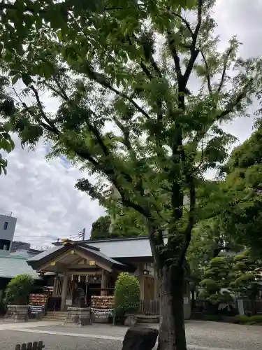 天祖諏訪神社の{uncategorized: "未分類", other: "その他", undefined: "問題あり", building: "その他建物", grave: "お墓", sacred_gate: "鳥居", guardian: "狛犬", statue: "像", buddha: "仏像", history: "歴史", nature: "自然", garden: "庭園", animal: "動物", pagoda: "塔", temizu: "手水舎", mountain_gate: "山門・神門", sanctuary: "本殿・本堂", subordinate: "末社・摂社", art: "芸術", scenery: "景色", jizo: "地蔵", ema: "絵馬", goshuin: "御朱印", omikuji: "おみくじ", items: "授与品その他", amulet: "お守り", goshuincho: "御朱印帳", eats: "食事", festival: "お祭り", votive_dance: "神楽", shichigosan: "七五三参", wedding: "結婚式", experience: "体験その他", initially: "初詣", around: "周辺", anti_infection: "感染症対策"}