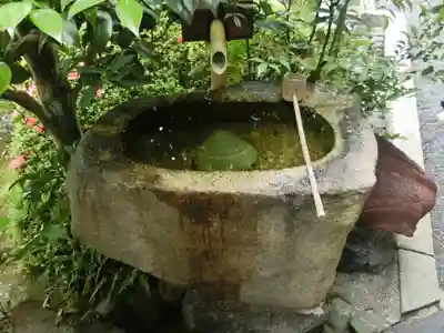 正法寺の手水舎