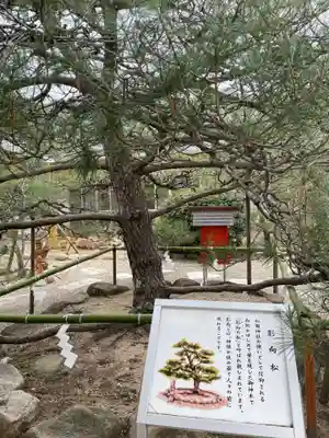 和田神社(兵庫県)