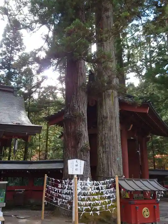 日光二荒山神社(栃木県)