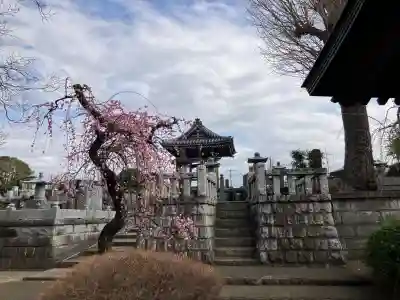 本興寺(神奈川県)