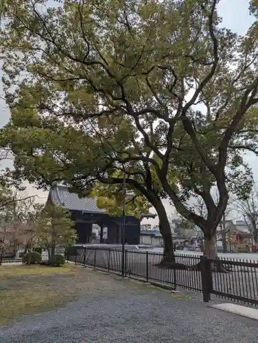東寺（教王護国寺）(京都府)