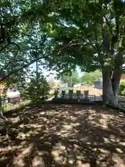 八雲神社(埼玉県)