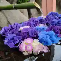 差出磯大嶽山神社 仕事と健康と厄よけの神さまの手水舎