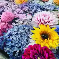 豊景神社の手水舎