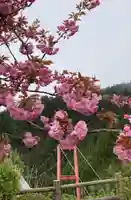 国上寺(新潟県)