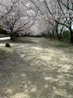 貴船神社の自然
