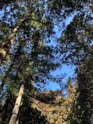 赤城神社(三夜沢町)(群馬県)