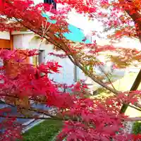 寿量山 速成寺の庭園