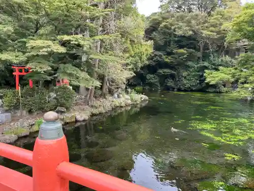 富士山本宮浅間大社の{uncategorized: "未分類", other: "その他", undefined: "問題あり", building: "その他建物", grave: "お墓", sacred_gate: "鳥居", guardian: "狛犬", statue: "像", buddha: "仏像", history: "歴史", nature: "自然", garden: "庭園", animal: "動物", pagoda: "塔", temizu: "手水舎", mountain_gate: "山門・神門", sanctuary: "本殿・本堂", subordinate: "末社・摂社", art: "芸術", scenery: "景色", jizo: "地蔵", ema: "絵馬", goshuin: "御朱印", omikuji: "おみくじ", items: "授与品その他", amulet: "お守り", goshuincho: "御朱印帳", eats: "食事", festival: "お祭り", votive_dance: "神楽", shichigosan: "七五三参", wedding: "結婚式", experience: "体験その他", initially: "初詣", around: "周辺", anti_infection: "感染症対策"}