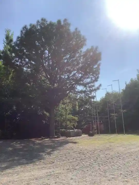 曽野稲荷神社の庭園