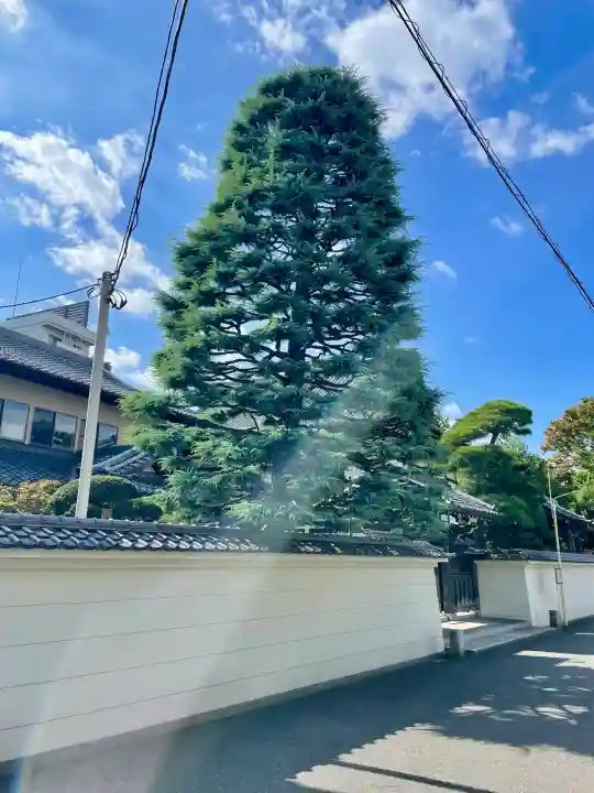 霊泉院(東京都)