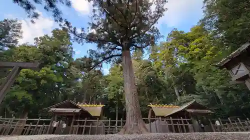 瀧原宮(皇大神宮別宮)の庭園