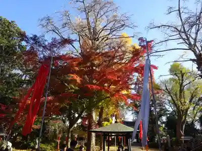 明王院（満願寺別院）の自然