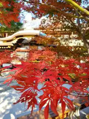 瀧泉寺（目黒不動尊）(東京都)