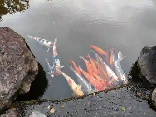 城南宮(京都府)