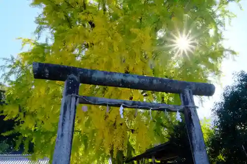 丹生酒殿神社の鳥居