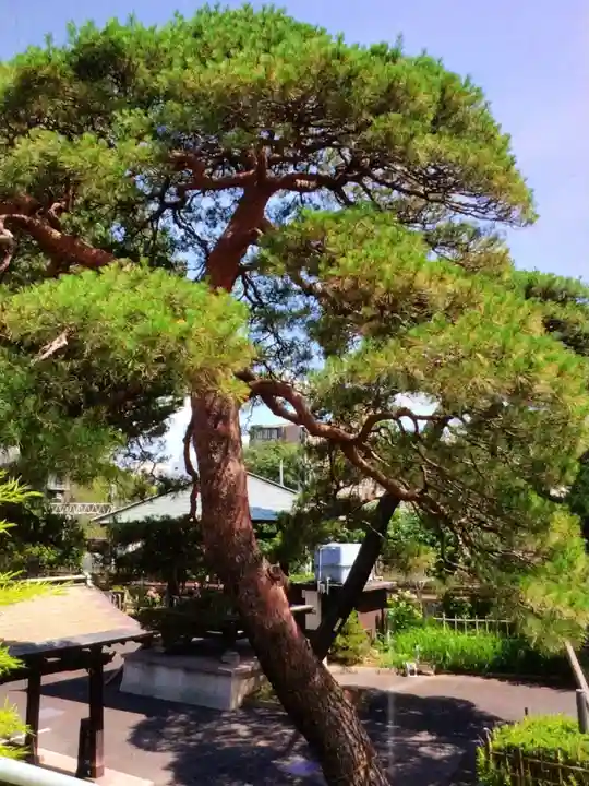 光明院(東京都)