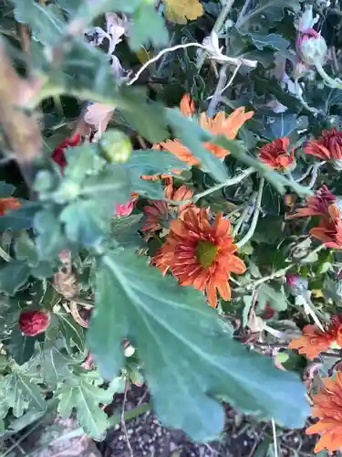 三輪神社の自然