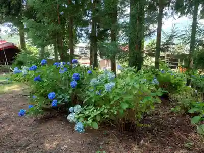 北東本宮小室浅間神社(山梨県)
