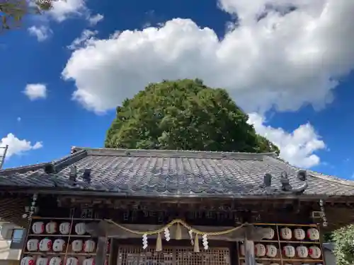 石井神社(茨城県)