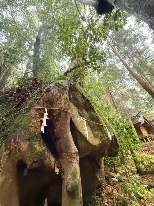 滝尻王子宮十郷神社の{uncategorized: "未分類", other: "その他", undefined: "問題あり", building: "その他建物", grave: "お墓", sacred_gate: "鳥居", guardian: "狛犬", statue: "像", buddha: "仏像", history: "歴史", nature: "自然", garden: "庭園", animal: "動物", pagoda: "塔", temizu: "手水舎", mountain_gate: "山門・神門", sanctuary: "本殿・本堂", subordinate: "末社・摂社", art: "芸術", scenery: "景色", jizo: "地蔵", ema: "絵馬", goshuin: "御朱印", omikuji: "おみくじ", items: "授与品その他", amulet: "お守り", goshuincho: "御朱印帳", eats: "食事", festival: "お祭り", votive_dance: "神楽", shichigosan: "七五三参", wedding: "結婚式", experience: "体験その他", initially: "初詣", around: "周辺", anti_infection: "感染症対策"}
