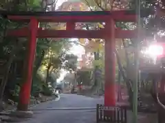 吉田神社の鳥居