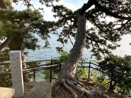 八百富神社の自然