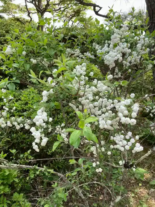 国宝 大法寺(長野県)