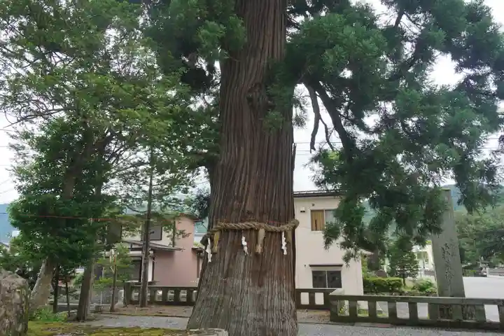 飛驒一宮水無神社の自然