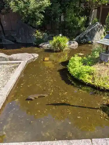 岐阜護國神社の庭園