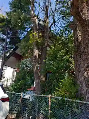 熊野神社(東京都)