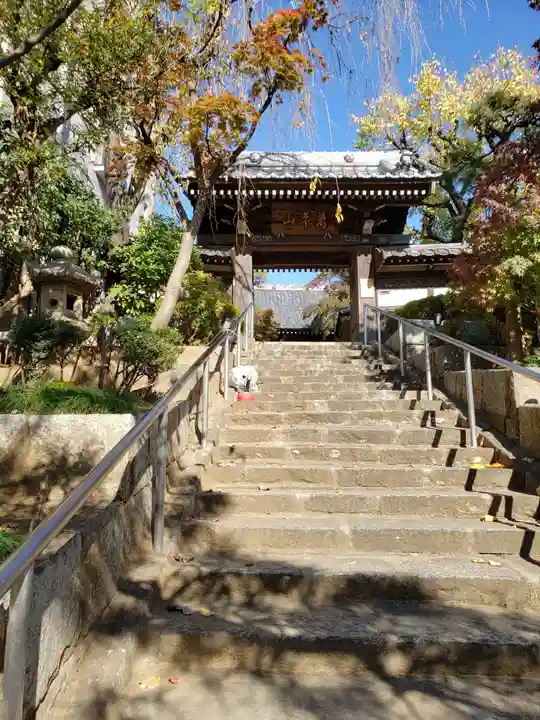 法輪寺の山門・神門