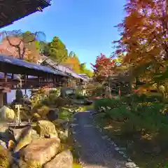 十輪寺(京都府)