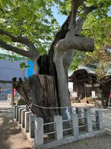 阿邪訶根神社(福島県)