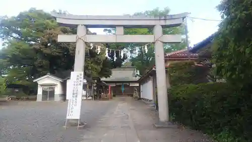 梅宮神社の鳥居