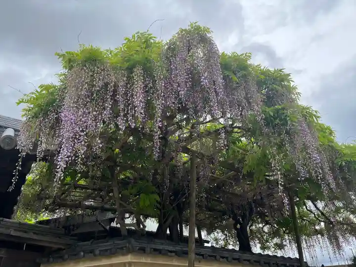 當麻寺西南院の自然