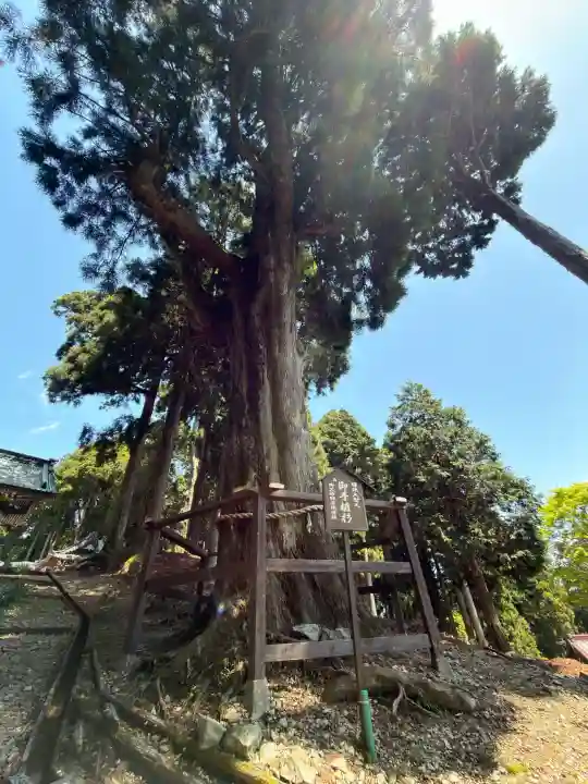 久遠寺の{uncategorized: "未分類", other: "その他", undefined: "問題あり", building: "その他建物", grave: "お墓", sacred_gate: "鳥居", guardian: "狛犬", statue: "像", buddha: "仏像", history: "歴史", nature: "自然", garden: "庭園", animal: "動物", pagoda: "塔", temizu: "手水舎", mountain_gate: "山門・神門", sanctuary: "本殿・本堂", subordinate: "末社・摂社", art: "芸術", scenery: "景色", jizo: "地蔵", ema: "絵馬", goshuin: "御朱印", omikuji: "おみくじ", items: "授与品その他", amulet: "お守り", goshuincho: "御朱印帳", eats: "食事", festival: "お祭り", votive_dance: "神楽", shichigosan: "七五三参", wedding: "結婚式", experience: "体験その他", initially: "初詣", around: "周辺", anti_infection: "感染症対策"}